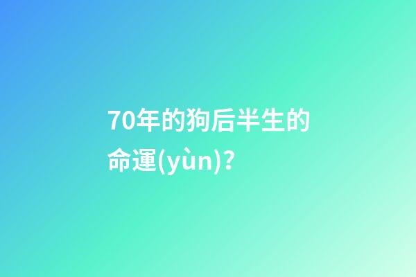 70年的狗后半生的命運(yùn)？(農(nóng)村老人說：“雞不過六載，狗不過八年”，是啥意思？)-第1張-觀點(diǎn)-玄機(jī)派