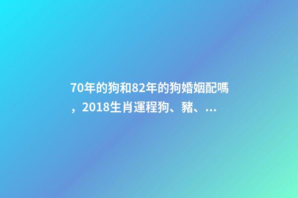 70年的狗和82年的狗婚姻配嗎，2018生肖運程狗、豬、鼠、牛、虎、兔-第1張-觀點-玄機派