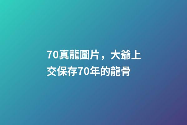 70真龍圖片，大爺上交保存70年的龍骨-第1張-觀點-玄機派