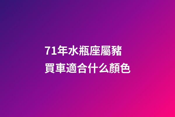71年水瓶座屬豬買車適合什么顏色