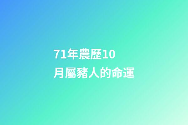 71年農歷10月屬豬人的命運(71年的豬一生幾次婚姻 屬豬的愛情)-第1張-觀點-玄機派