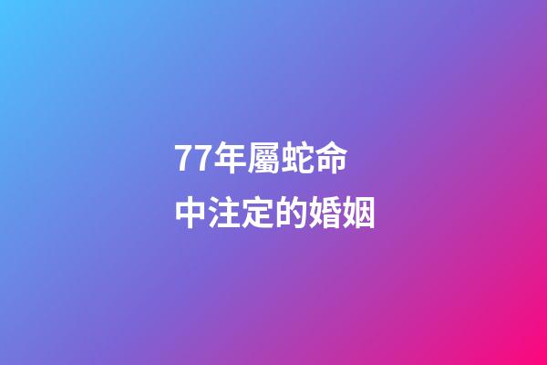 77年屬蛇命中注定的婚姻(今年“桃花旺”的生肖)-第1張-觀點(diǎn)-玄機(jī)派