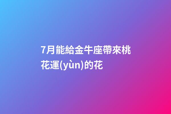 7月能給金牛座帶來桃花運(yùn)的花-第1張-星座運(yùn)勢-玄機(jī)派