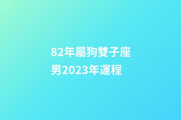 82年屬狗雙子座男2023年運程-第1張-星座運勢-玄機派