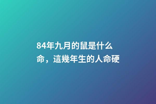 84年九月的鼠是什么命，這幾年生的人命硬-第1張-觀點-玄機派