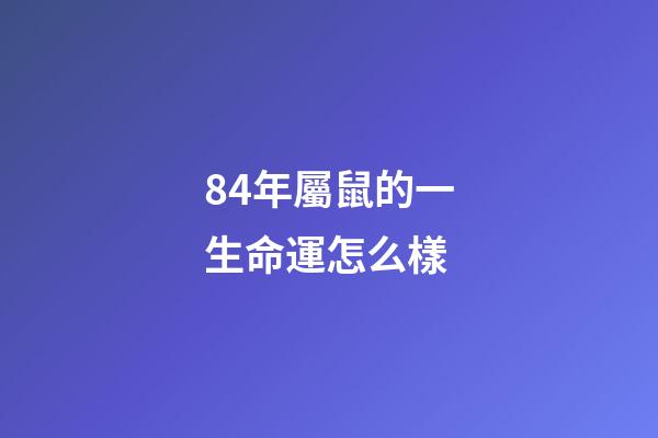84年屬鼠的一生命運怎么樣(子鼠生于60年，72年，84年的，今年的財富事業表現怎樣)-第1張-觀點-玄機派