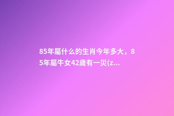85年屬什么的生肖今年多大，85年屬牛女42歲有一災(zāi)-第1張-觀點(diǎn)-玄機(jī)派