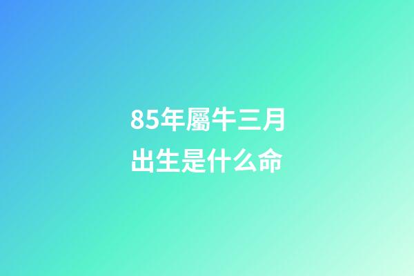 85年屬牛三月出生是什么命(屬牛人下半年財富看7月!)-第1張-觀點-玄機派