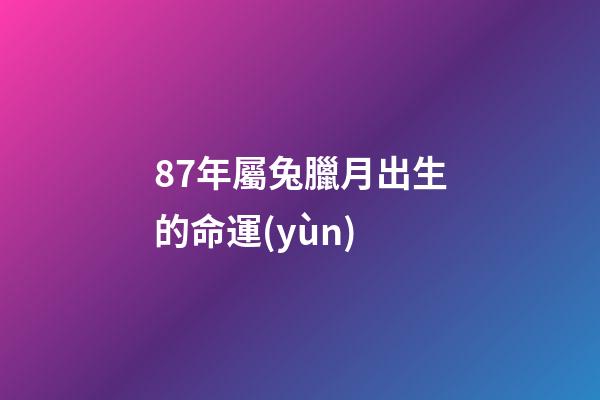 87年屬兔臘月出生的命運(yùn)(屬虎和屬兔臘月初一真的轉(zhuǎn)運(yùn)了，春節(jié)前外債還清，春節(jié)后財(cái)運(yùn)爆棚)-第1張-觀點(diǎn)-玄機(jī)派