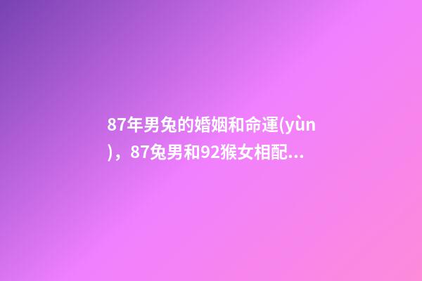 87年男兔的婚姻和命運(yùn)，87兔男和92猴女相配嗎-第1張-觀點(diǎn)-玄機(jī)派