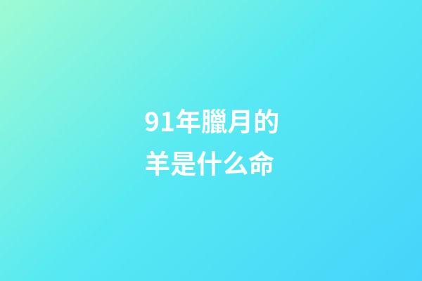 91年臘月的羊是什么命(慘綠少年、空心湯圓、酒店猛狗……這些竟然都是成語(yǔ)？考考孩子，認(rèn)識(shí)幾個(gè))-第1張-觀點(diǎn)-玄機(jī)派