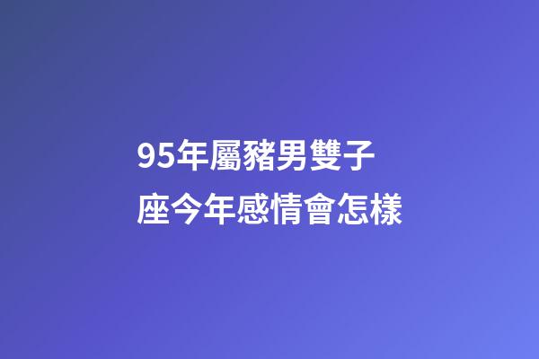 95年屬豬男雙子座今年感情會怎樣