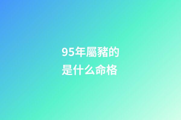 95年屬豬的是什么命格(未來三年財(cái)源廣進(jìn)功成名就的四大生肖)-第1張-觀點(diǎn)-玄機(jī)派