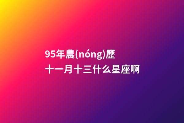 95年農(nóng)歷十一月十三什么星座啊-第1張-星座運(yùn)勢(shì)-玄機(jī)派