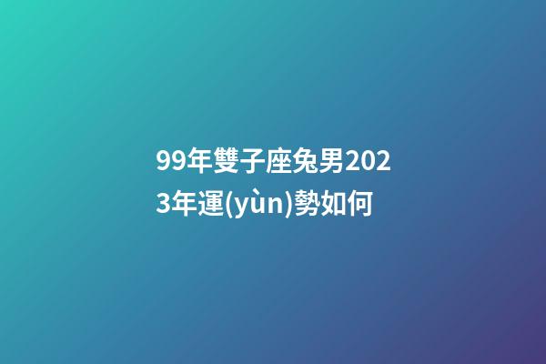 99年雙子座兔男2023年運(yùn)勢如何-第1張-星座運(yùn)勢-玄機(jī)派