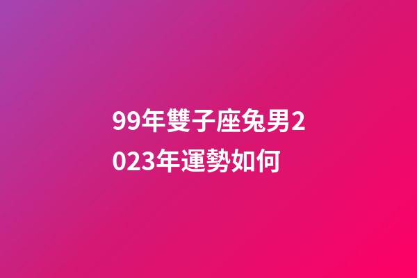 99年雙子座兔男2023年運勢如何-第1張-星座運勢-玄機派