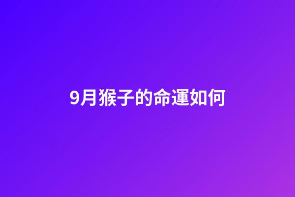 9月猴子的命運如何(印度爆發“人猴大戰”，2月大嬰兒被群猴淹死，猴子為何恨人類？)-第1張-觀點-玄機派