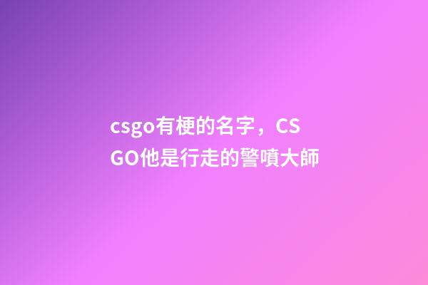 csgo有梗的名字，CSGO他是行走的警噴大師-第1張-觀點(diǎn)-玄機(jī)派
