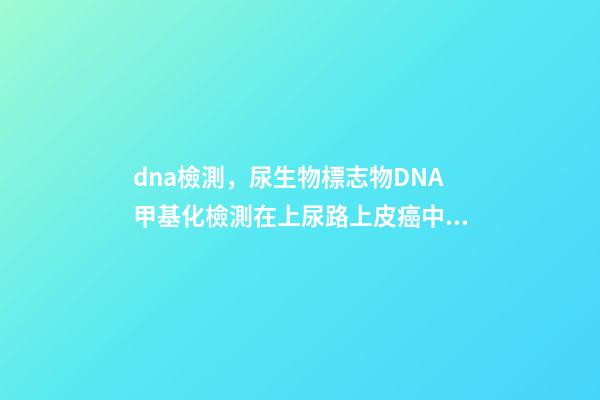 dna檢測，尿生物標志物DNA甲基化檢測在上尿路上皮癌中的價值-第1張-觀點-玄機派