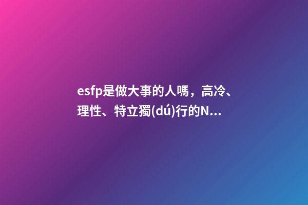 esfp是做大事的人嗎，高冷、理性、特立獨(dú)行的NT性格-第1張-觀點(diǎn)-玄機(jī)派