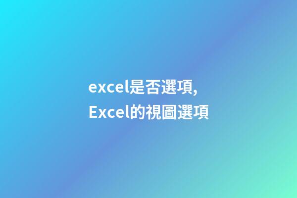 excel是否選項,Excel的視圖選項-第1張-觀點-玄機派