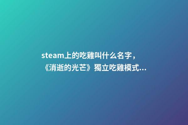 steam上的吃雞叫什么名字，《消逝的光芒》獨立吃雞模式Steam搶先版發(fā)售!PVEPVP結(jié)合新玩法-第1張-觀點-玄機派