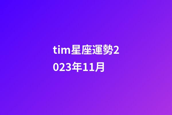 tim星座運勢2023年11月-第1張-星座運勢-玄機派