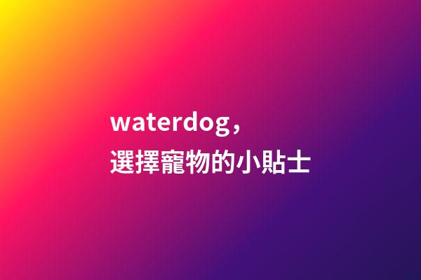 waterdog，選擇寵物的小貼士-第1張-觀點-玄機派