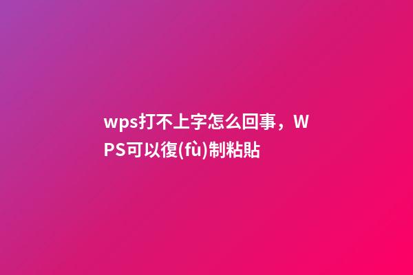 wps打不上字怎么回事，WPS可以復(fù)制粘貼-第1張-觀點(diǎn)-玄機(jī)派
