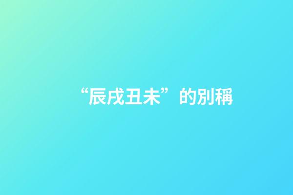 “辰戌丑未”的別稱