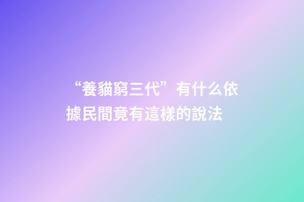 “養貓窮三代”有什么依據?民間竟有這樣的說法