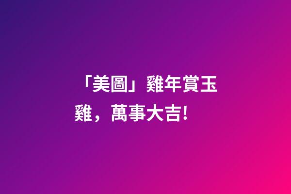 「美圖」雞年賞玉雞，萬事大吉!-第1張-觀點-玄機派