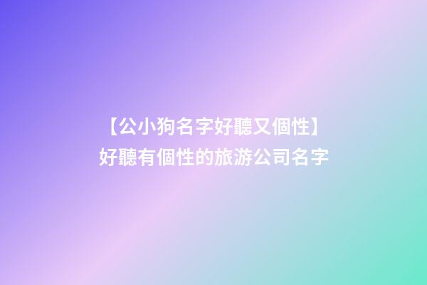 【公小狗名字好聽又個性】好聽有個性的旅游公司名字-第1張-公司起名-玄機派