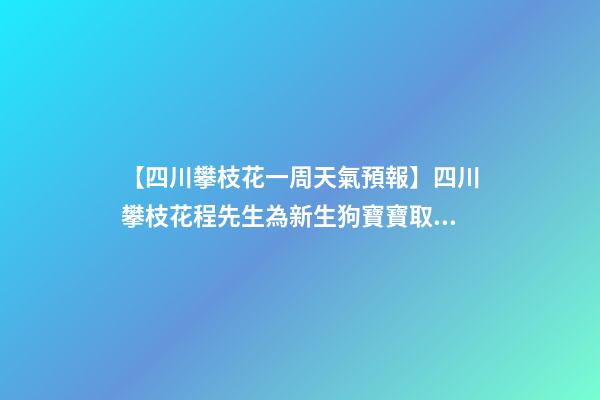 【四川攀枝花一周天氣預報】四川攀枝花程先生為新生狗寶寶取名時尚型套餐-第1張-公司起名-玄機派