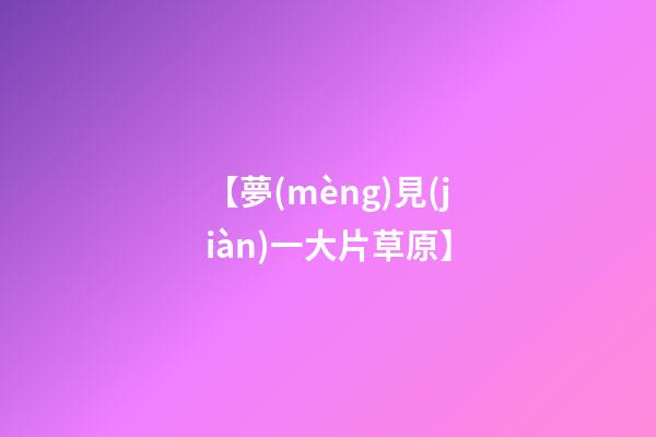 【夢(mèng)見(jiàn)一大片草原】
