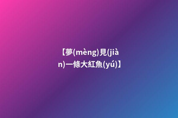【夢(mèng)見(jiàn)一條大紅魚(yú)】