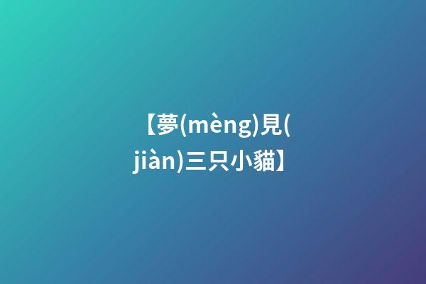 【夢(mèng)見(jiàn)三只小貓】