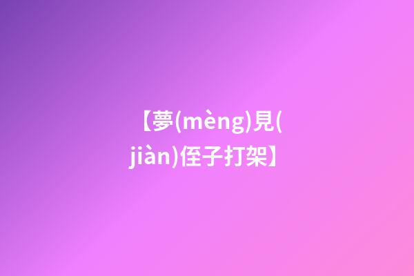 【夢(mèng)見(jiàn)侄子打架】