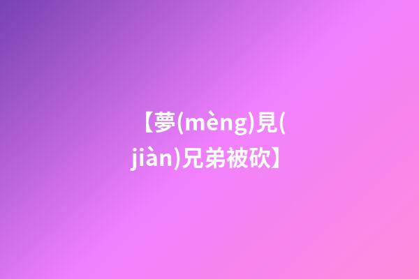 【夢(mèng)見(jiàn)兄弟被砍】