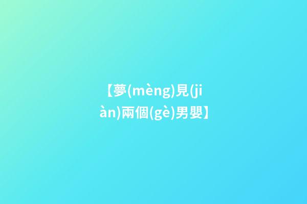 【夢(mèng)見(jiàn)兩個(gè)男嬰】