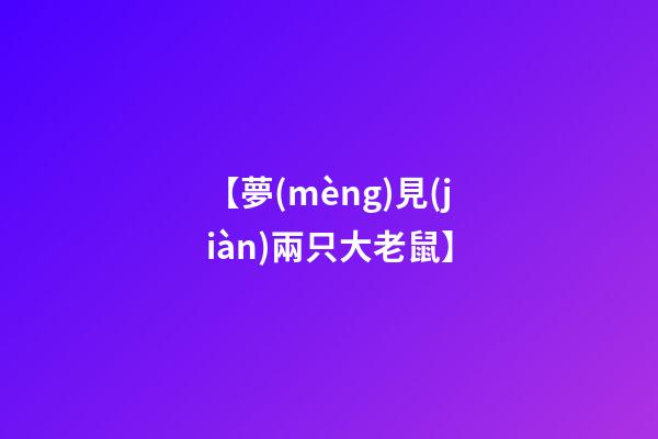 【夢(mèng)見(jiàn)兩只大老鼠】
