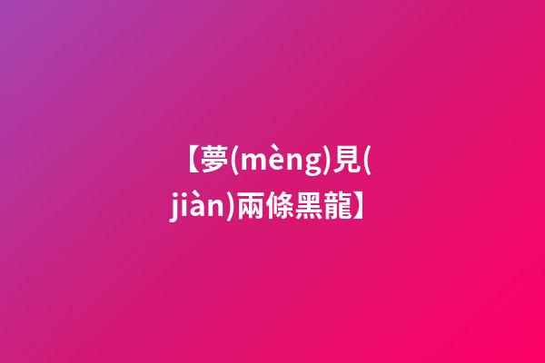 【夢(mèng)見(jiàn)兩條黑龍】