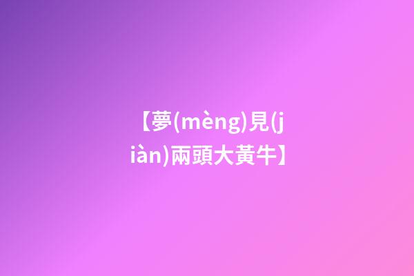 【夢(mèng)見(jiàn)兩頭大黃牛】