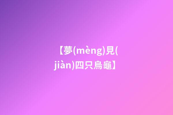 【夢(mèng)見(jiàn)四只烏龜】