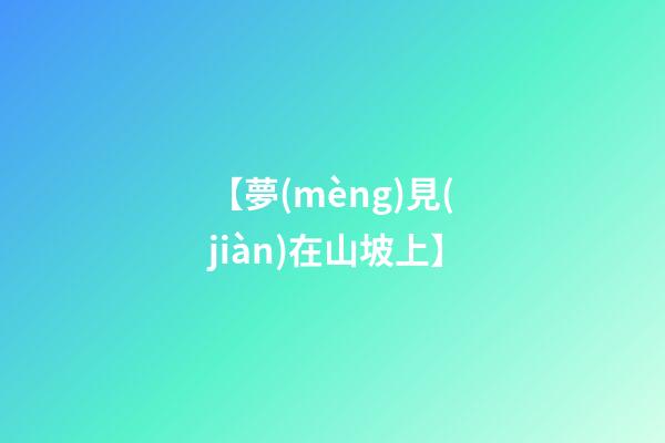 【夢(mèng)見(jiàn)在山坡上】