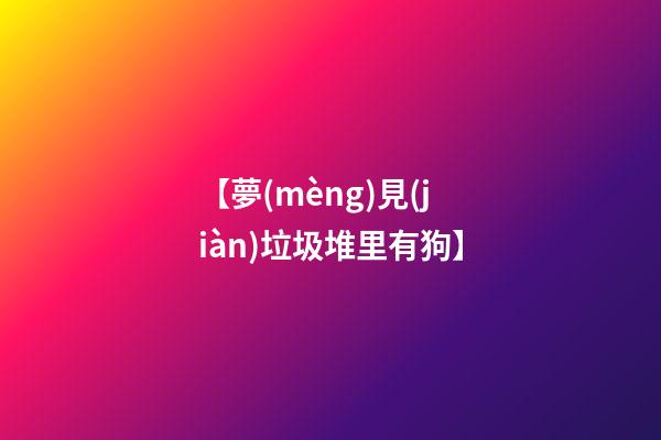 【夢(mèng)見(jiàn)垃圾堆里有狗】
