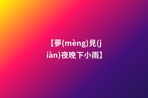 【夢(mèng)見(jiàn)夜晚下小雨】