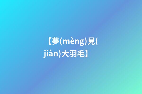 【夢(mèng)見(jiàn)大羽毛】