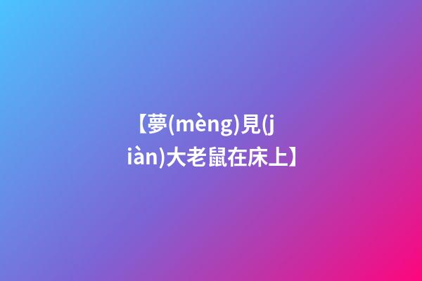 【夢(mèng)見(jiàn)大老鼠在床上】