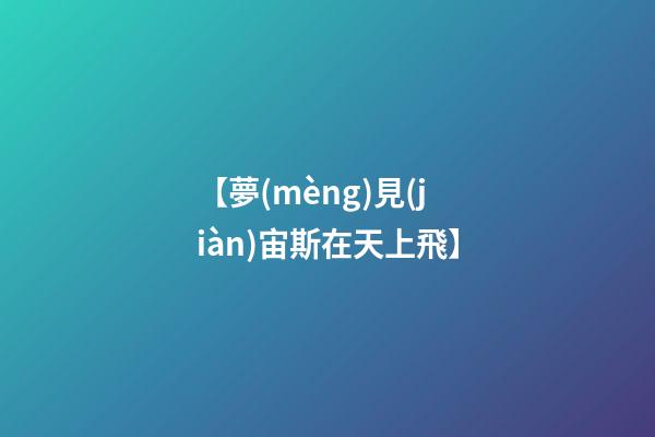 【夢(mèng)見(jiàn)宙斯在天上飛】